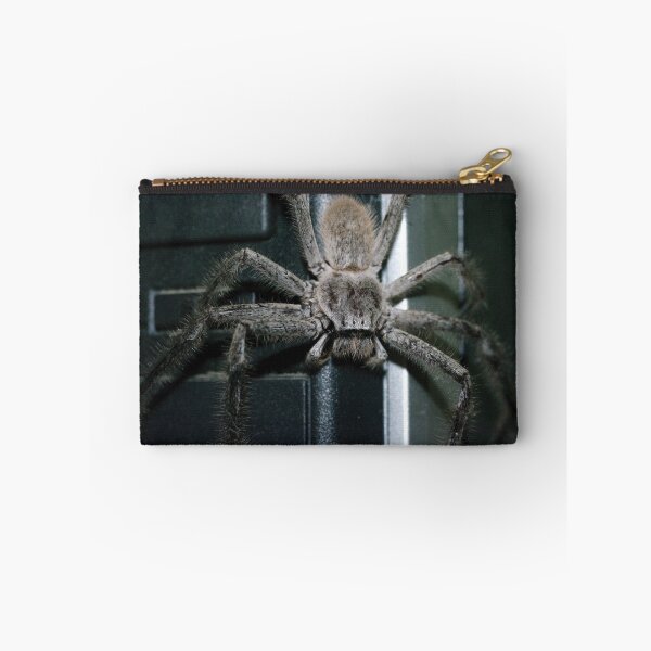 Item preview, Huntsman Spider designed and sold by BigAndRed.