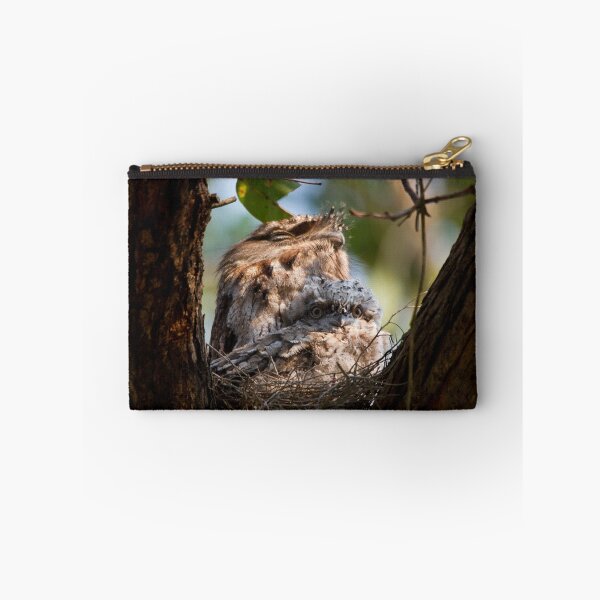 Item preview, Curious Frogmouth Chick designed and sold by byronbackyard.
