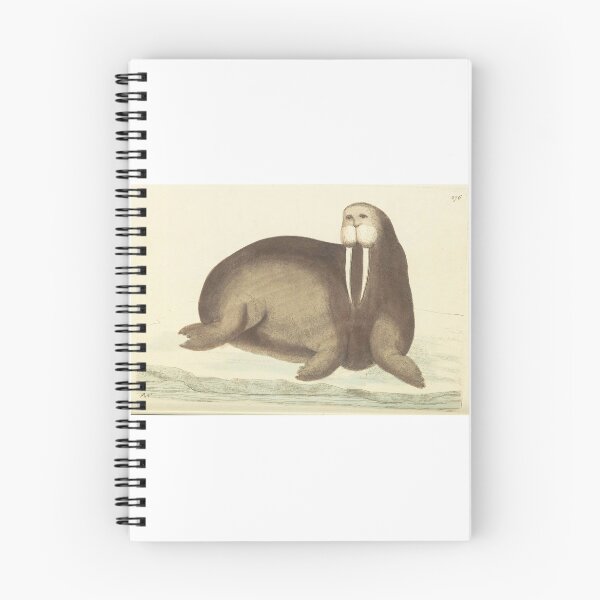 Item preview, Vintage Walrus Illustration  designed and sold by The Mad Hermit.