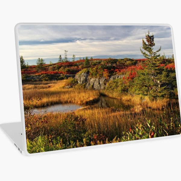 Afternoon Delight Laptop Skin