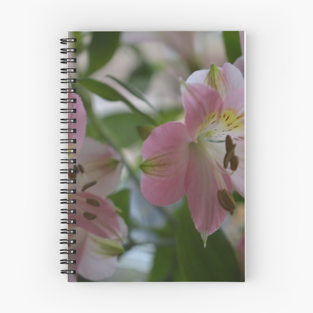 Item preview, Spiral Notebook designed and sold by RyanJaymes.