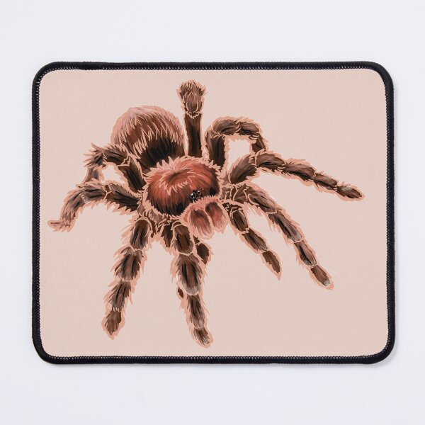 Item preview, Chilean Rose Hair Tarantula designed and sold by RJKpoyp.