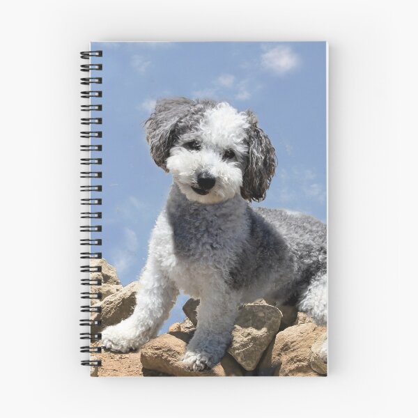 Item preview, Doggie on the Rocks designed and sold by heatherfriedman.