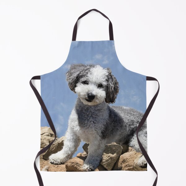 Item preview, Doggie on the Rocks designed and sold by heatherfriedman.