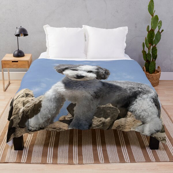 Item preview, Doggie on the Rocks designed and sold by heatherfriedman.