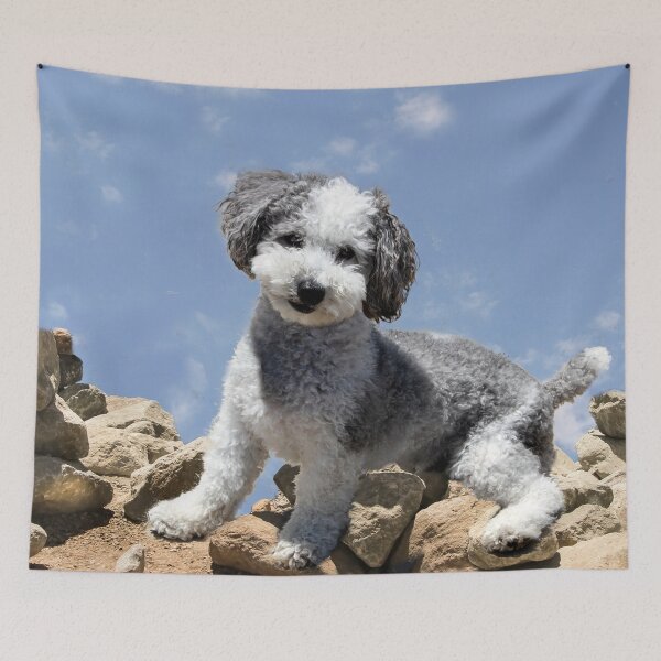 Item preview, Doggie on the Rocks designed and sold by heatherfriedman.