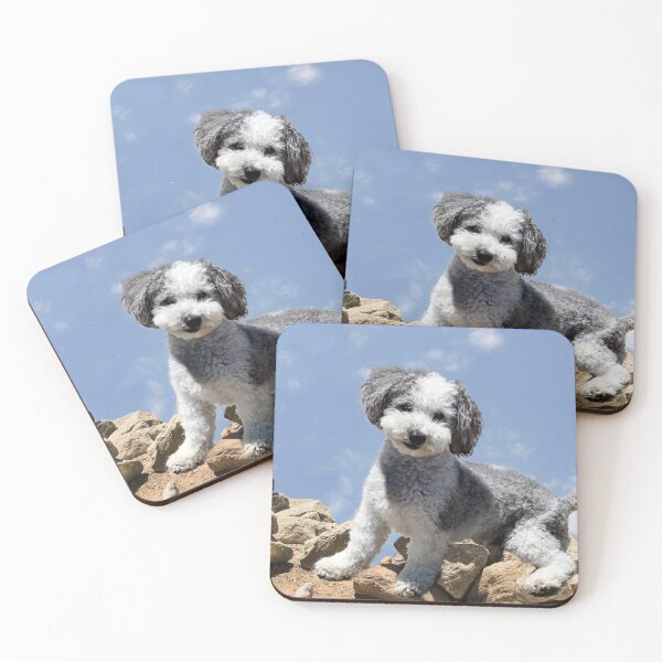 Item preview, Doggie on the Rocks designed and sold by heatherfriedman.