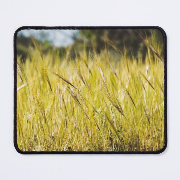 Item preview, The grass field gold designed and sold by Kiran-Fine-Art.
