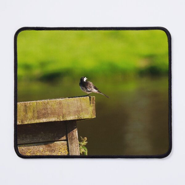 Item preview, FLY CATCHING designed and sold by andrewsaxton.