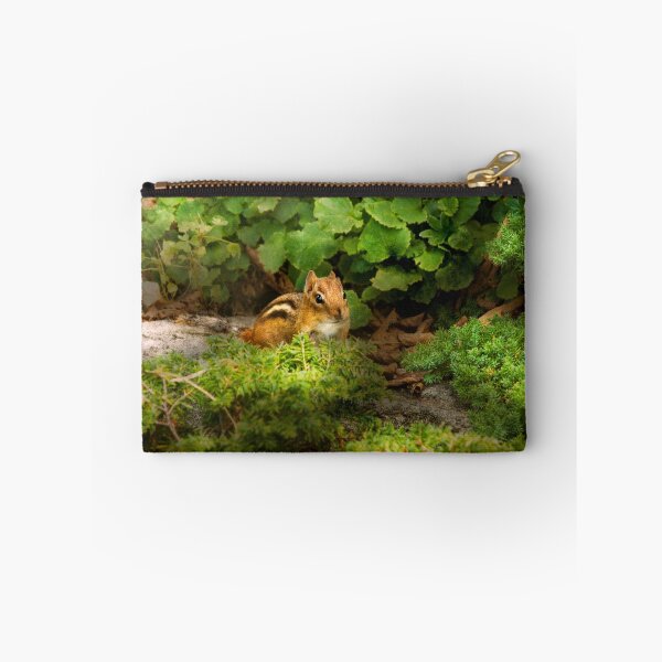 Item preview, Chipmunk - What a cutie  designed and sold by Mike Savad Photography.