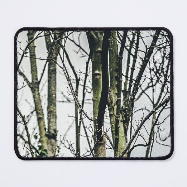 Item preview, Branch-A-Tree designed and sold by Olympia Ellinas.