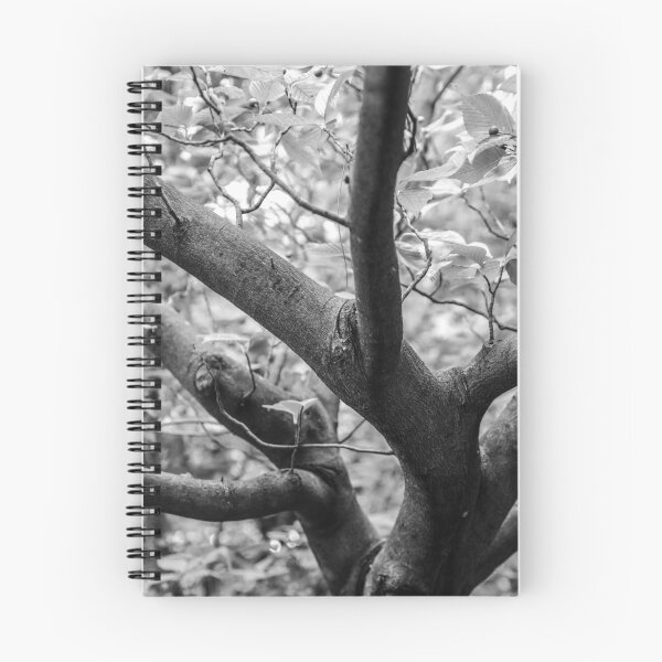 Item preview, A forest designed and sold by kifaya.