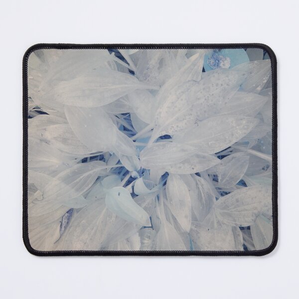 Item preview, Vanished colors designed and sold by Jouko Lehto Photography.