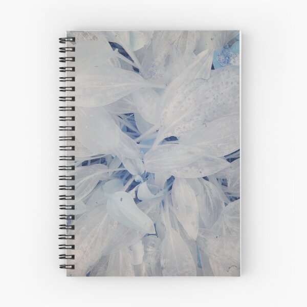 Item preview, Vanished colors designed and sold by Jouko Lehto Photography.