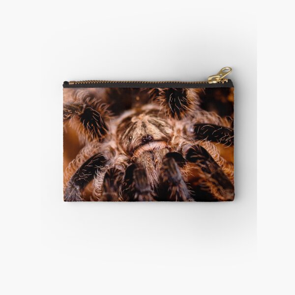 Item preview, Brachypelma albopilosum designed and sold by phazoninjected.
