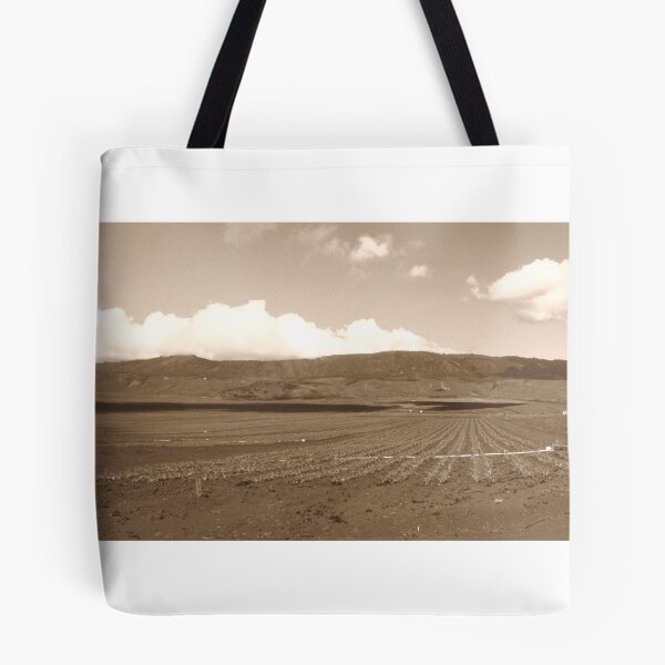 Item preview, Pineapple Field Sepia designed and sold by B. David Cathell.