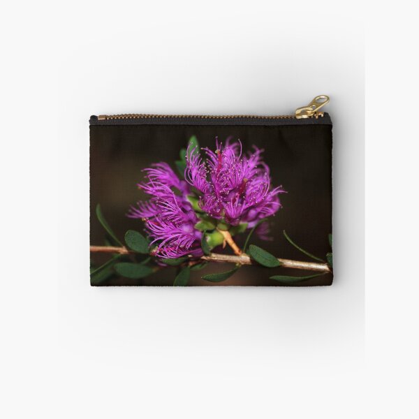 Item preview, Melaleuca thymifolia designed and sold by andrachne.