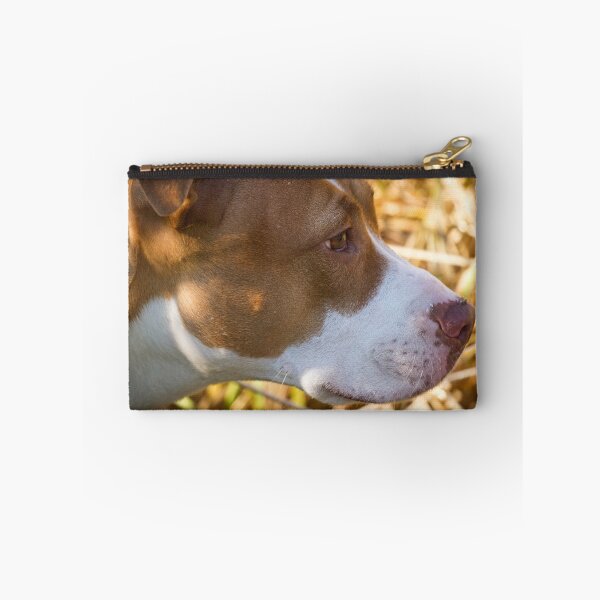 Item preview, Close Up Of Shelby designed and sold by Thomasyoung.