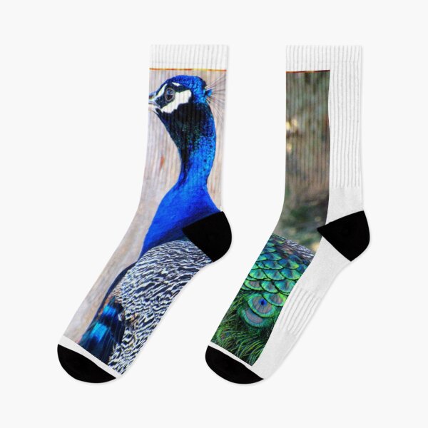 Item preview, peacock photo with high resolution quality designed and sold by Allyouneed-2.