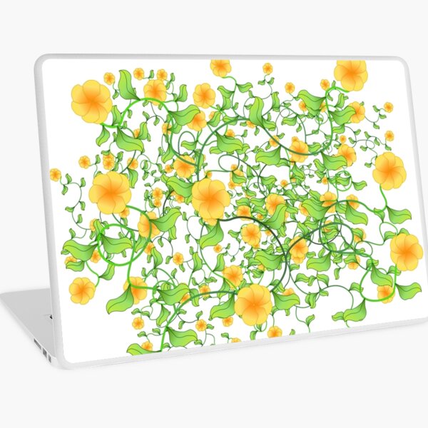 Macbook Air 13" (2015)