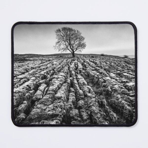 Item preview, Malham Tree, Yorkshire Dales designed and sold by heidipics.