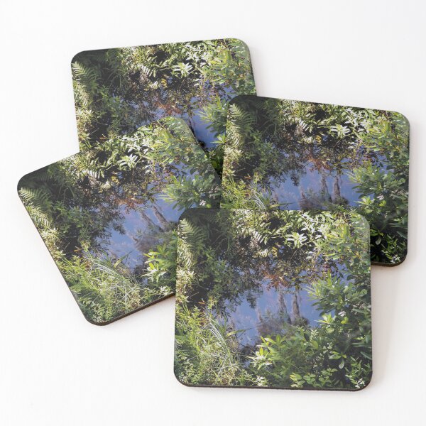 Item preview, Okefenokee Swamp Moss Reflections  designed and sold by KbytesOfJax Outdoor and Nature.