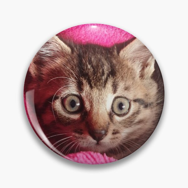 Item preview, Small kitten designed and sold by Bettina2311.