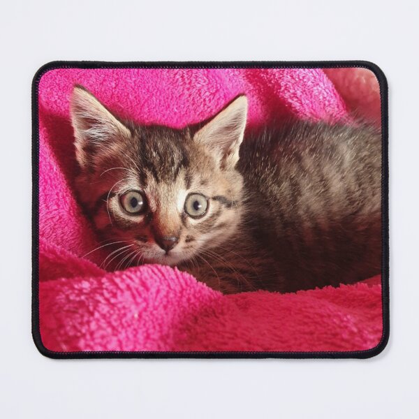 Item preview, Small kitten designed and sold by Bettina2311.