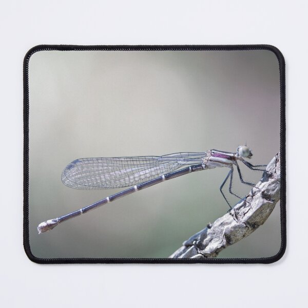 Item preview, defining serenity designed and sold by blacqbook.