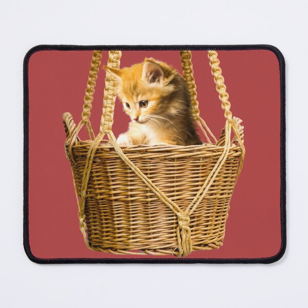 Item preview, Small kitten designed and sold by Bettina2311.
