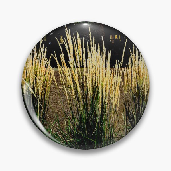 Item preview, 4 Tall Grass Plants in Santa Fe designed and sold by William E Lopez.