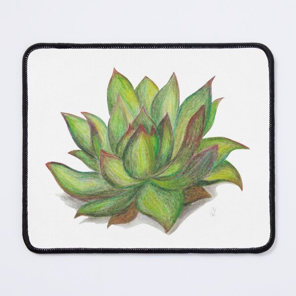 Item preview, Echeveria Agavoides - Succulent designed and sold by LReevesArt.