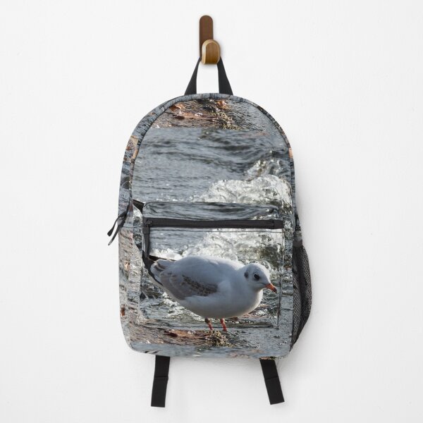 Item preview, Black-headed gull designed and sold by pinkal.