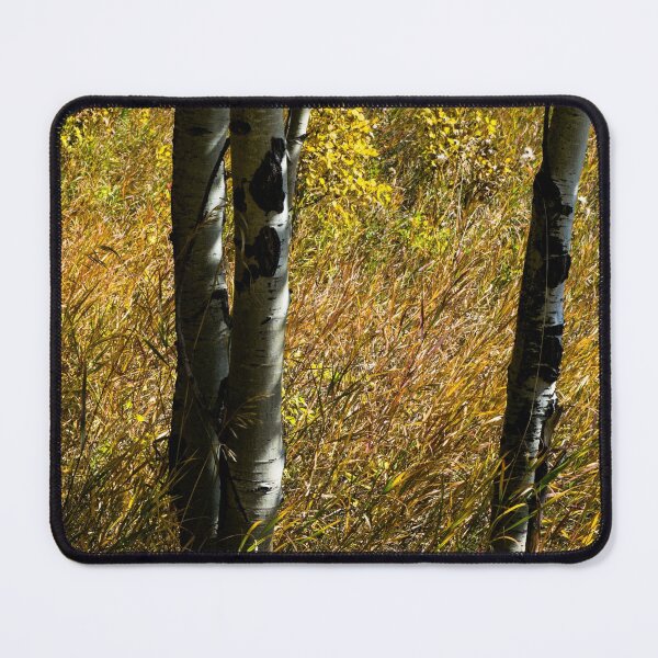 Item preview, High grasses in fall designed and sold by CanadianWild418.