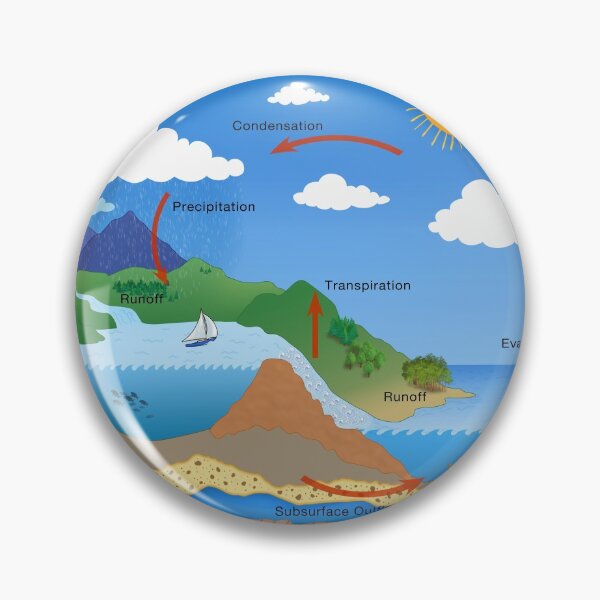 Item preview, Water Cycle, Environmental Science and Ecology designed and sold by ScienceSource.