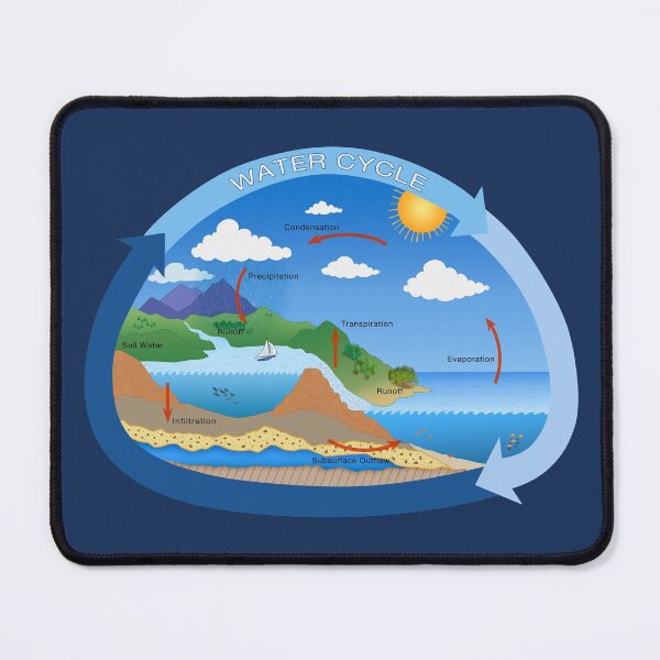Item preview, Water Cycle, Environmental Science and Ecology designed and sold by ScienceSource.