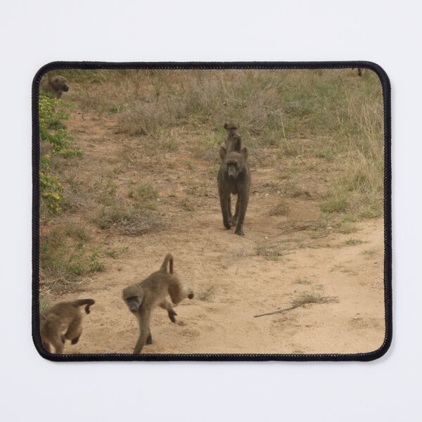 Item preview, Nature, animals, Africa, South Africa, Kruger NP, baboons, photography, BebiCervin designed and sold by BebiCervin.