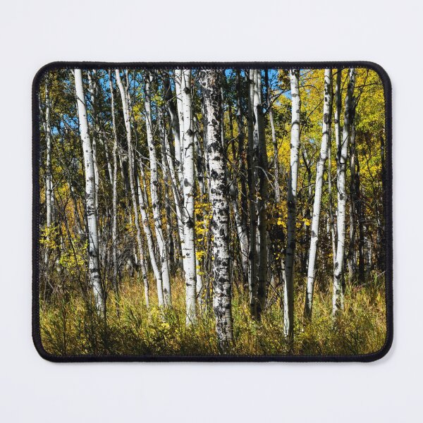 Item preview, Trees in the fall designed and sold by CanadianWild418.