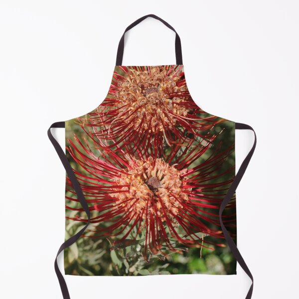 Item preview, Nature, Africa, South Africa, Flower, Proteas, Red, Orange, Photography, BebiCervin designed and sold by BebiCervin.