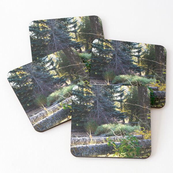 Item preview, Fall hike designed and sold by CanadianWild418.