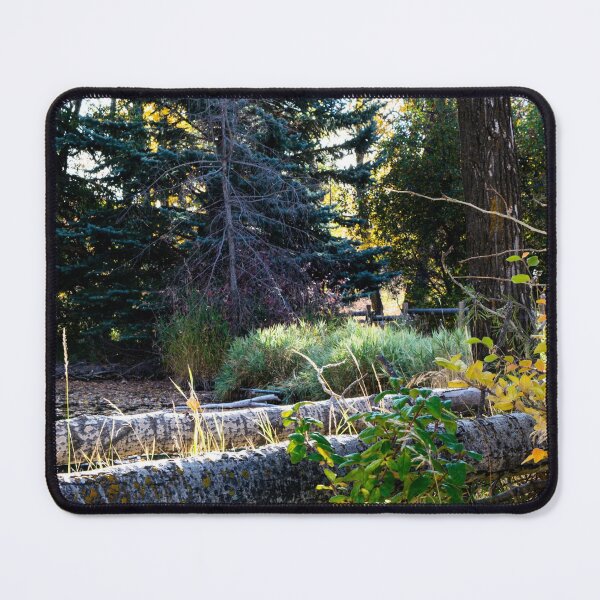 Item preview, Fall hike designed and sold by CanadianWild418.
