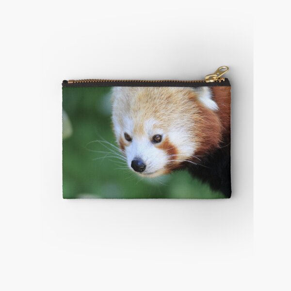 Item preview, Red Panda designed and sold by ensell.