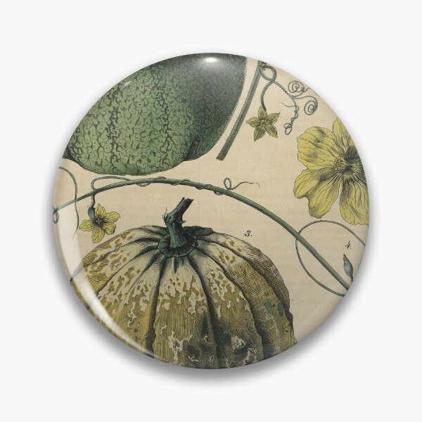 Item preview, C.G. Calwer's Pumpkins from Deutschlands Feld und Gartengewäschse designed and sold by Lloyd Library & Museum.