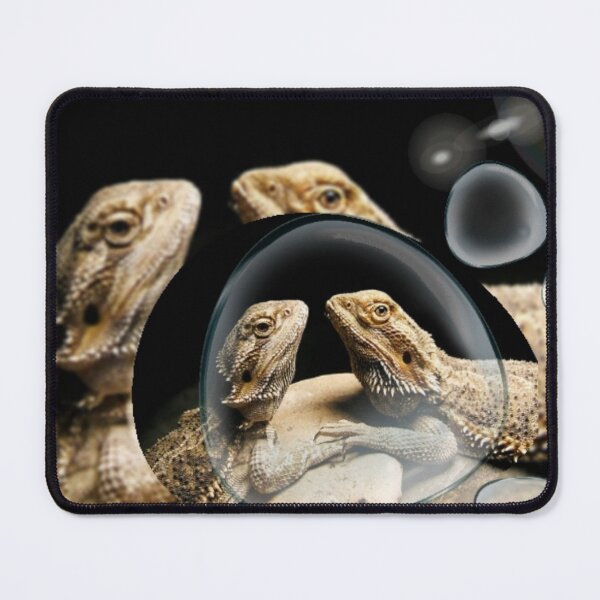 Item preview, Bearded dragon designed and sold by Jodes16.