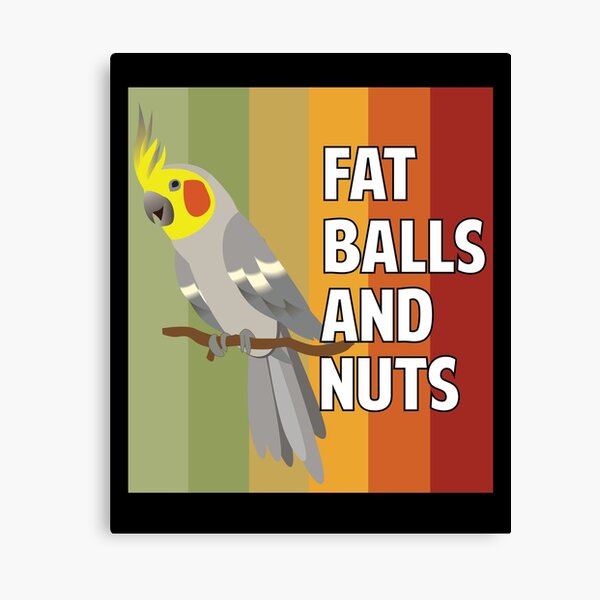 cockatiel nuts