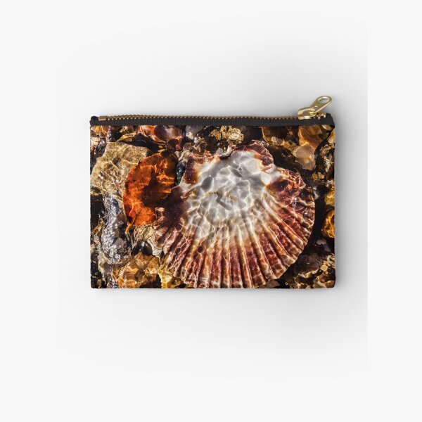Artikelvorschau, Scallop Shell entworfen und verkauft von Dorset Girl.