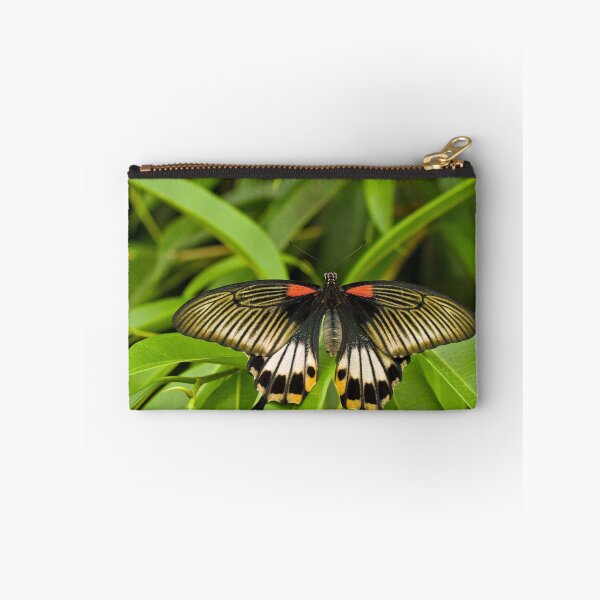 Item preview, Swallowtail designed and sold by Thaddeus Zajdowicz.