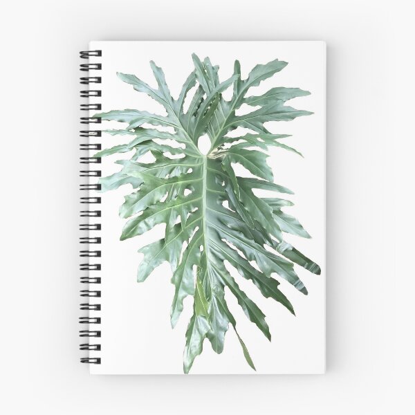 Item preview, Philodendrum Selloum leaf designed and sold by designcardinal.