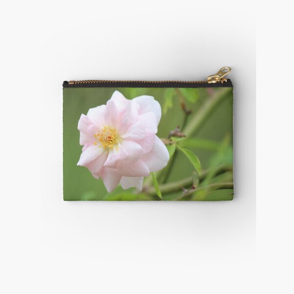 Item preview, Heritage Rose designed and sold by Bob Hardy.