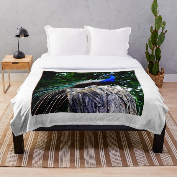 Item preview, peacock photo with high resolution quality designed and sold by Allyouneed-2.